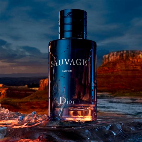 sauvage dior fragrance oil|boots dior sauvage for men.